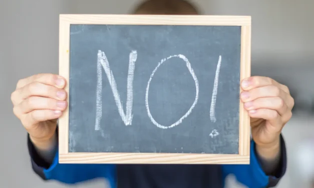Wie man Nein sagt - und es überlebt!