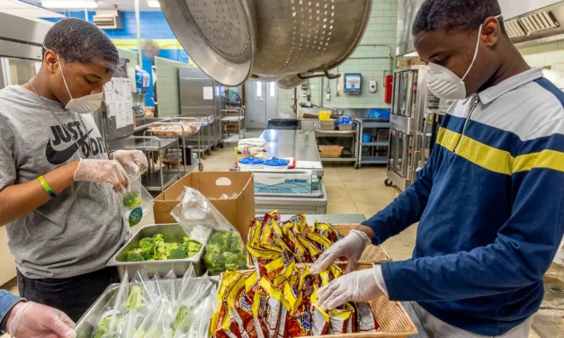 Von der Belohnung zum Gehalt – auf dem Weg in’s Erwachsenenleben…